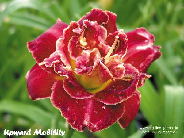 catalog/images/startseite/Upward Mobility.jpg